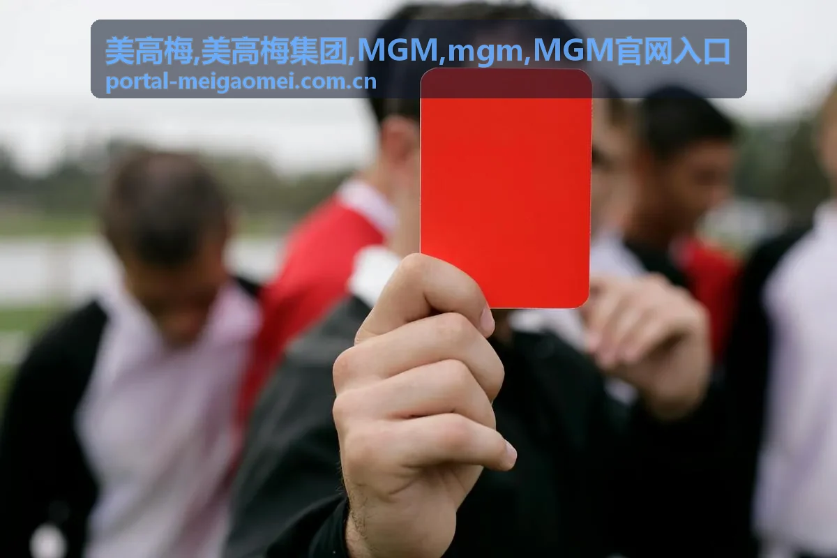 美高梅 MGM官网入口指南封面