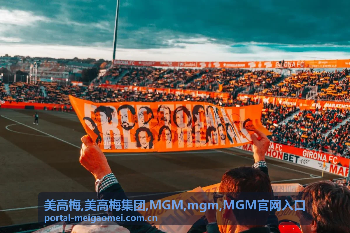 mgm 入口使用提示